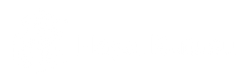 Hayalkutusu